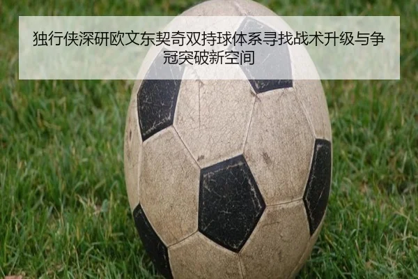 独行侠深研欧文东契奇双持球体系寻找战术升级与争冠突破新空间